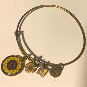 Alex and Ani Charm Bangle
